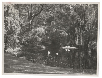 Fotograf: Hickstein, Carmen, Copyright: 1