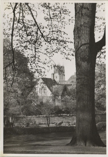 Fotograf: Hickstein, Carmen, Copyright: 1