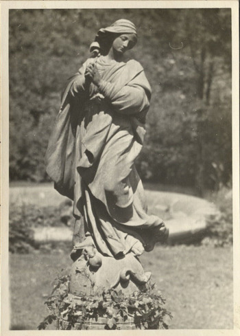 Fotograf: Hickstein, Carmen, Copyright: 1