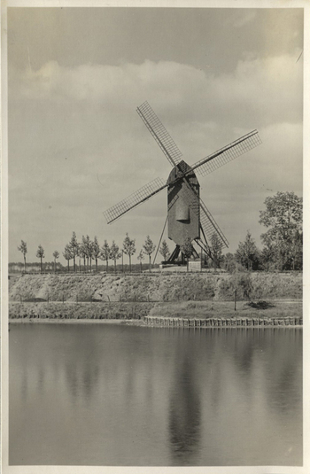 Fotograf: Hickstein, Carmen, Copyright: 1