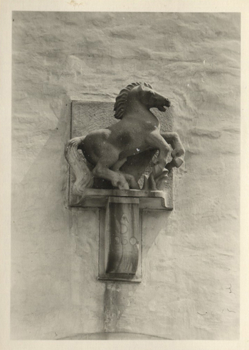 Fotograf: Hickstein, Carmen, Copyright: 1