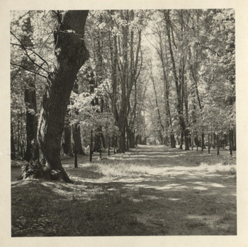 Fotograf: Hickstein, Carmen, Copyright: 1