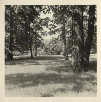 Fotograf: Hickstein, Carmen, Copyright: 1