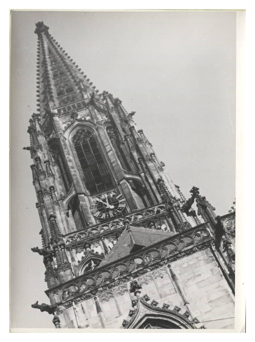 Fotograf: Hickstein, Carmen, Copyright: 1