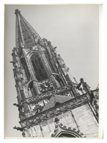 Fotograf: Hickstein, Carmen, Copyright: 1