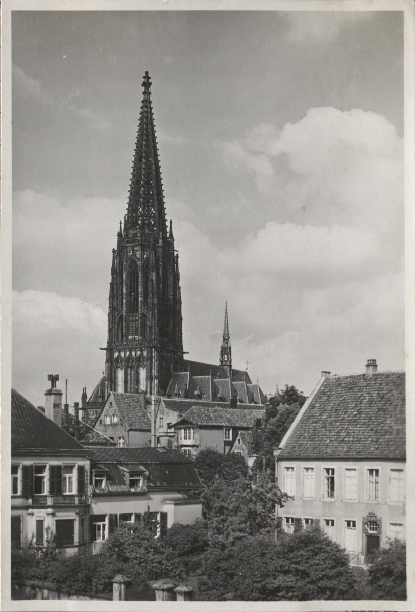 Fotograf: Hickstein, Carmen, Copyright: 1