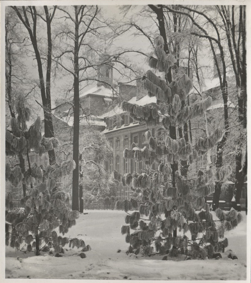 Fotograf: Hickstein, Carmen, Copyright: 1