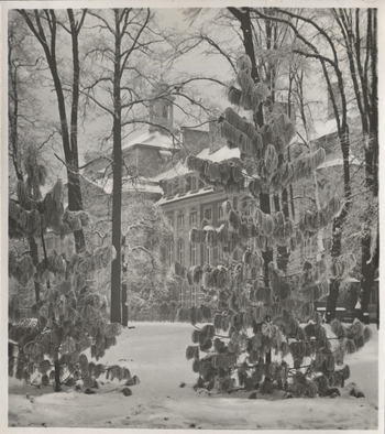 Fotograf: Hickstein, Carmen, Copyright: 1