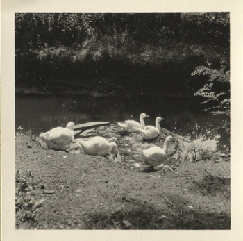 Fotograf: Hickstein, Carmen, Copyright: 1