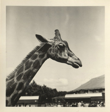 Fotograf: Hickstein, Carmen, Copyright: 1