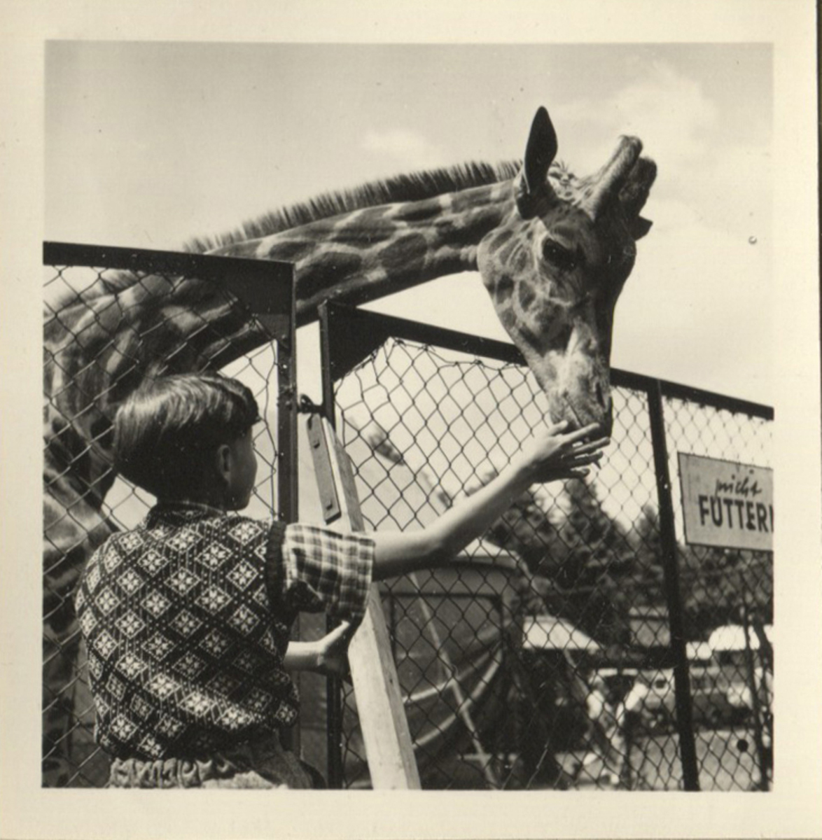 Fotograf: Hickstein, Carmen, Copyright: 1