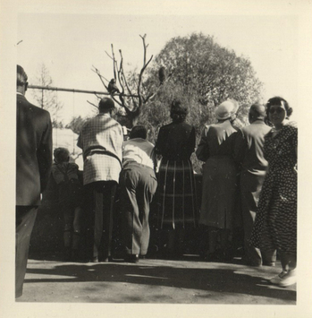 Fotograf: Hickstein, Carmen, Copyright: 1