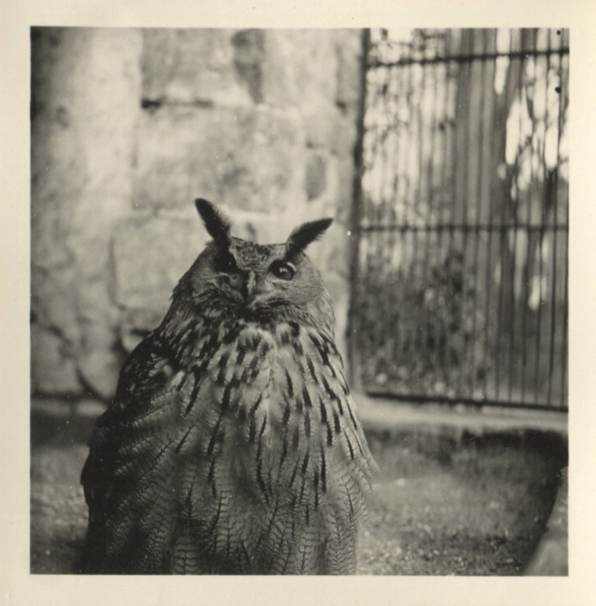 Fotograf: Hickstein, Carmen, Copyright: 1