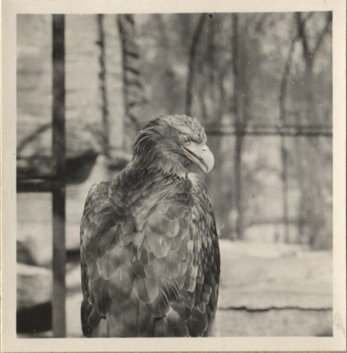 Fotograf: Hickstein, Carmen, Copyright: 1