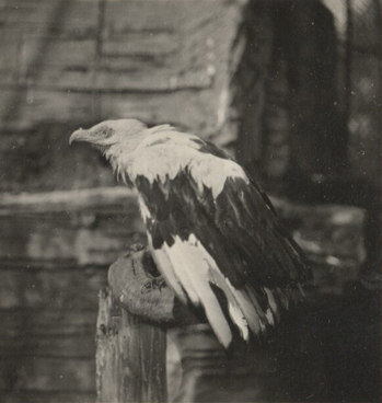 Fotograf: Hickstein, Carmen, Copyright: 1