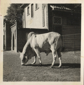 Fotograf: Hickstein, Carmen, Copyright: 1