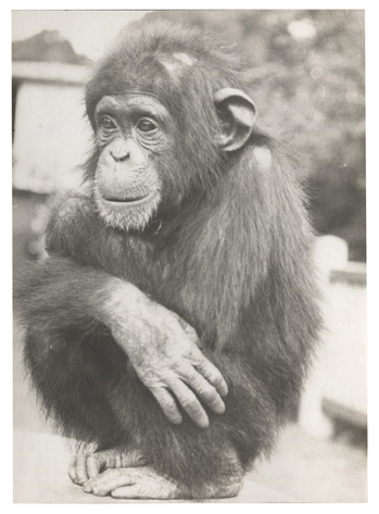 Fotograf: Hickstein, Carmen, Copyright: 1