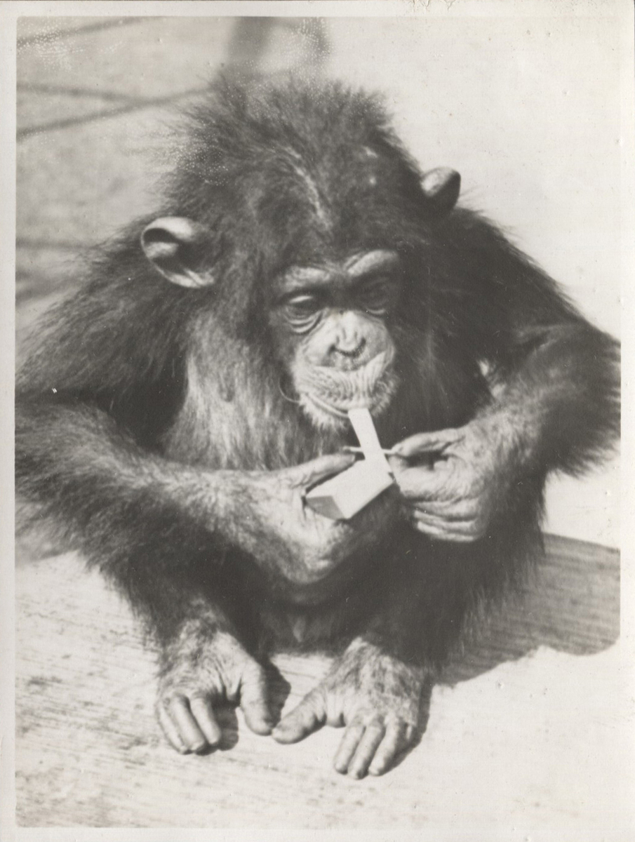 Fotograf: Hickstein, Carmen, Copyright: 1