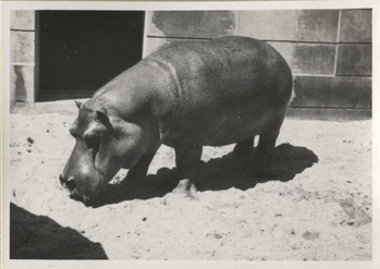 Fotograf: Hickstein, Carmen, Copyright: 1