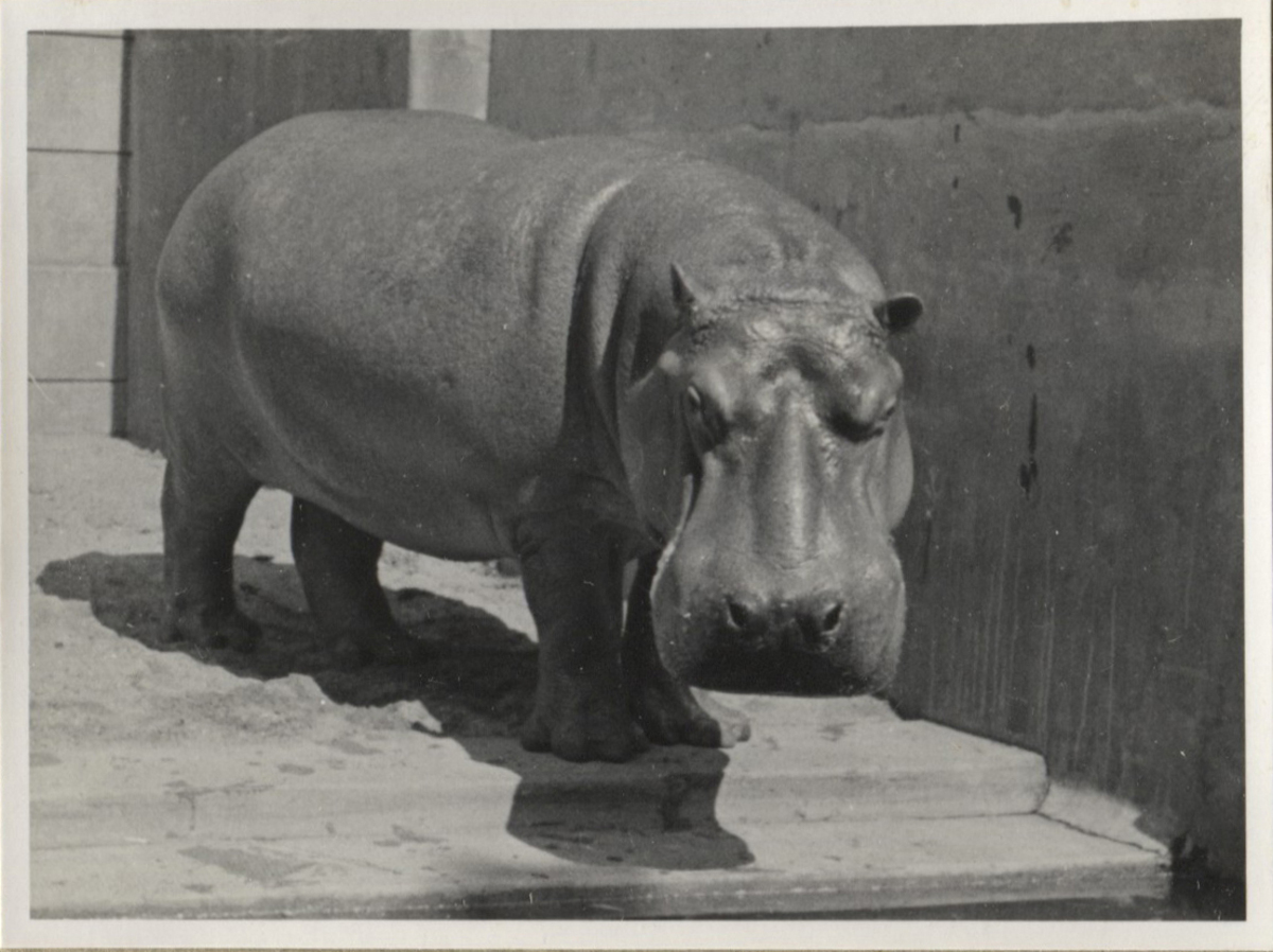 Fotograf: Hickstein, Carmen, Copyright: 1