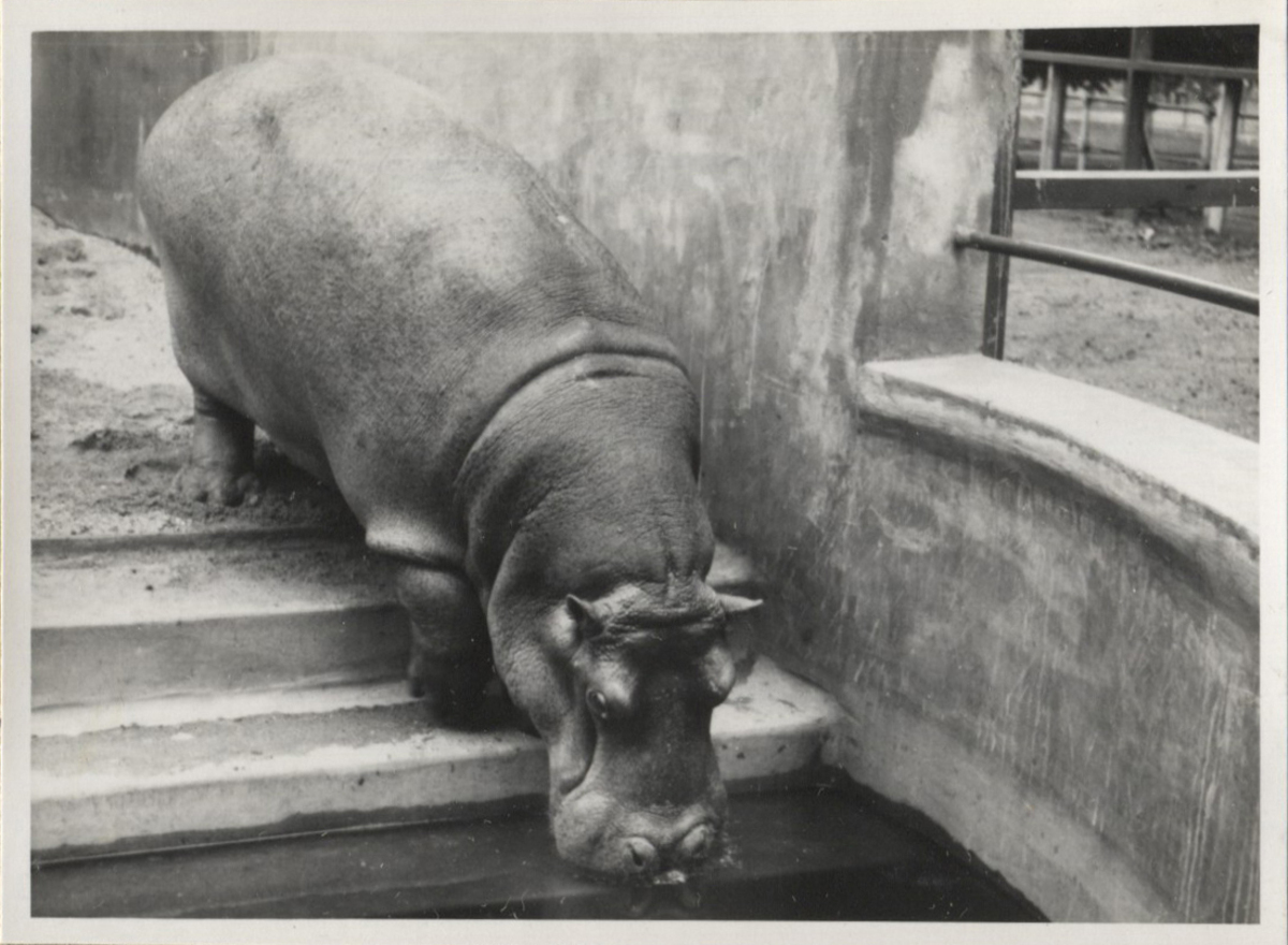 Fotograf: Hickstein, Carmen, Copyright: 1