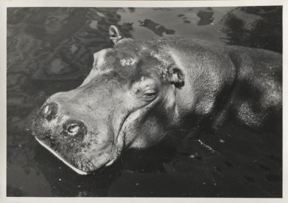 Fotograf: Hickstein, Carmen, Copyright: 1