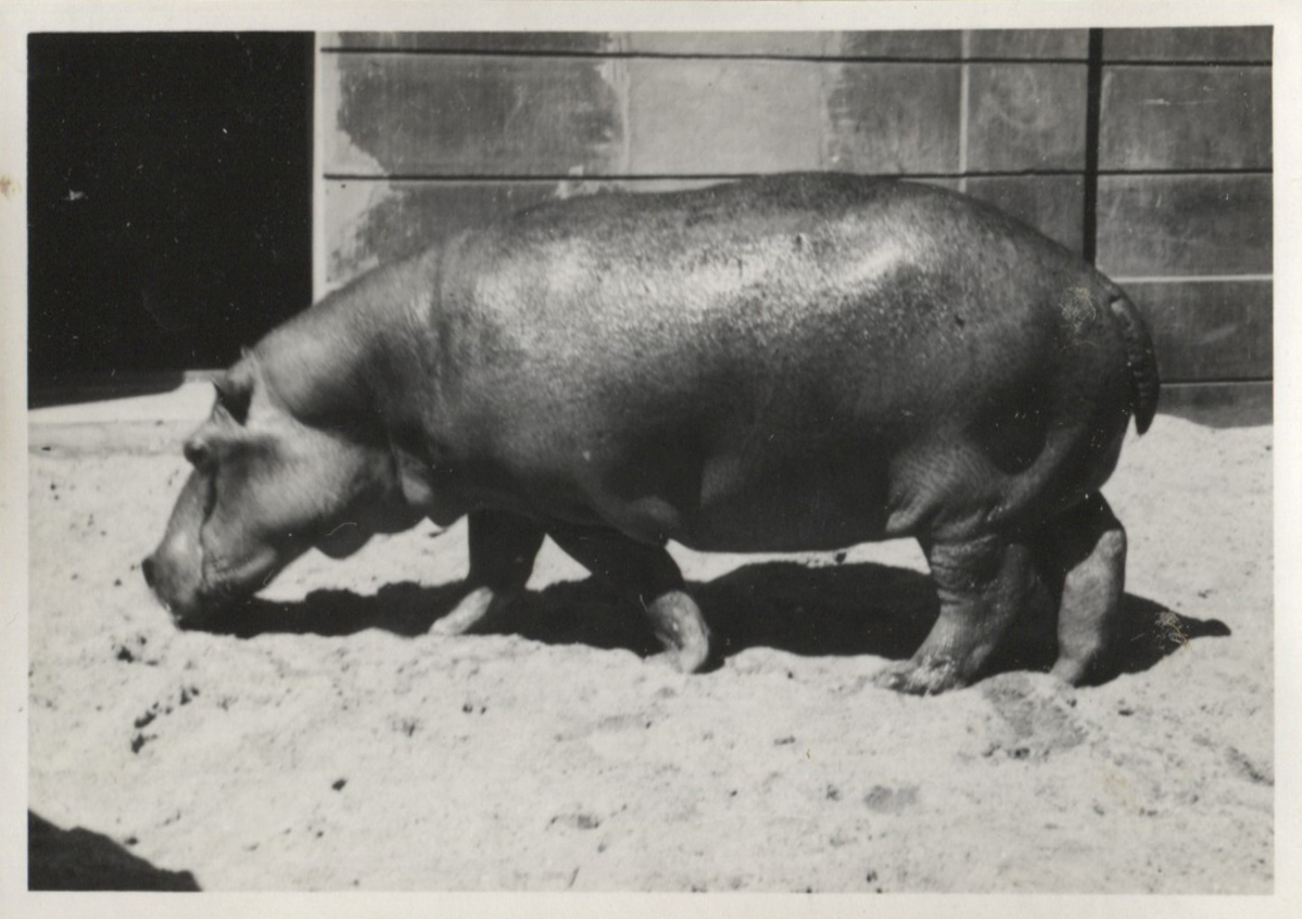 Fotograf: Hickstein, Carmen, Copyright: 1