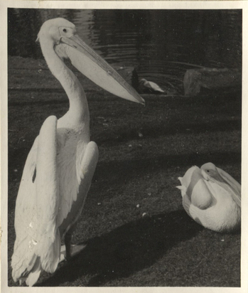 Fotograf: Hickstein, Carmen, Copyright: 1