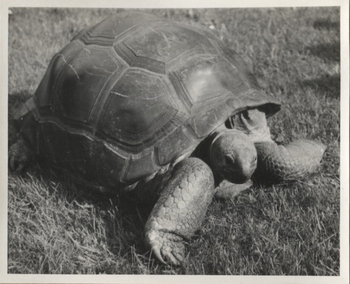 Fotograf: Hickstein, Carmen, Copyright: 1