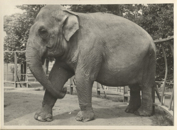 Fotograf: Hickstein, Carmen, Copyright: 1