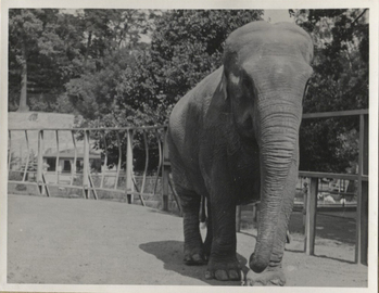 Fotograf: Hickstein, Carmen, Copyright: 1