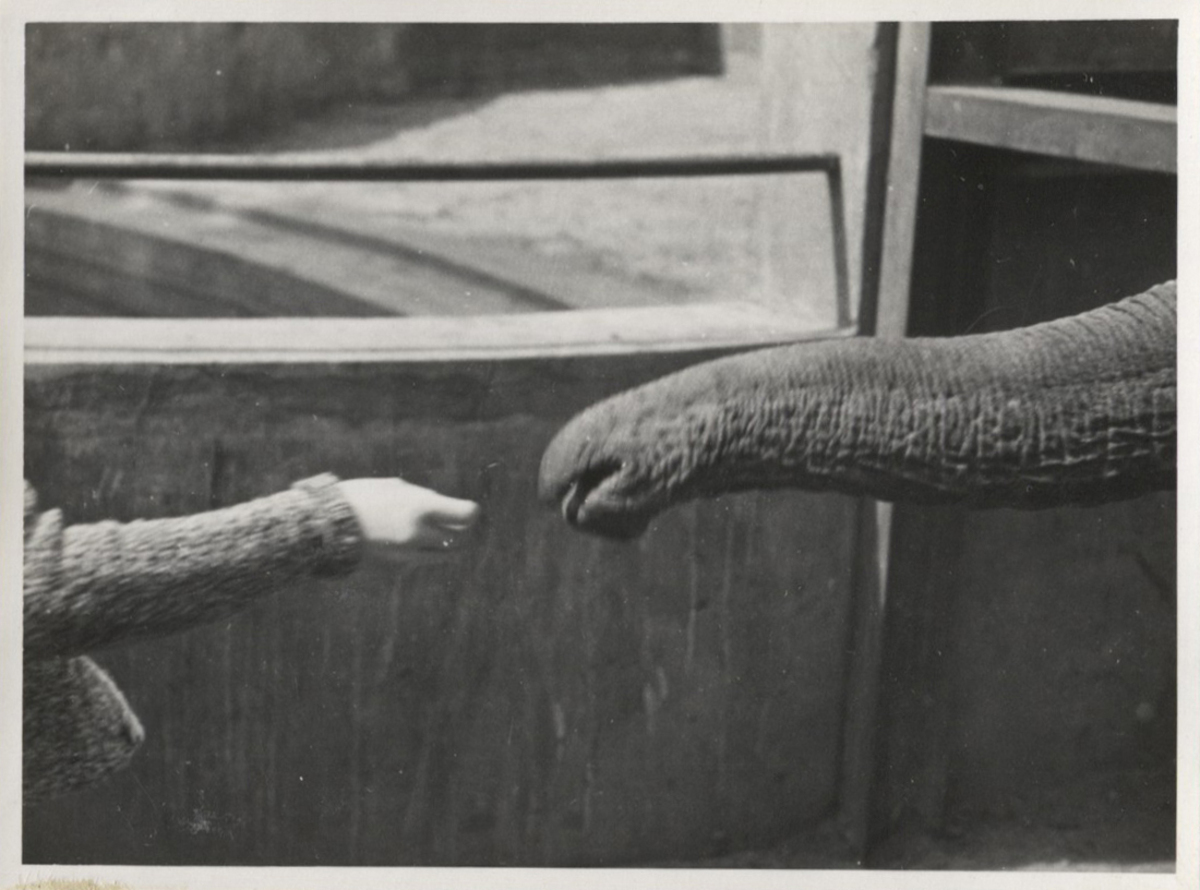 Fotograf: Hickstein, Carmen, Copyright: 1