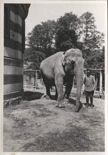 Fotograf: Hickstein, Carmen, Copyright: 1