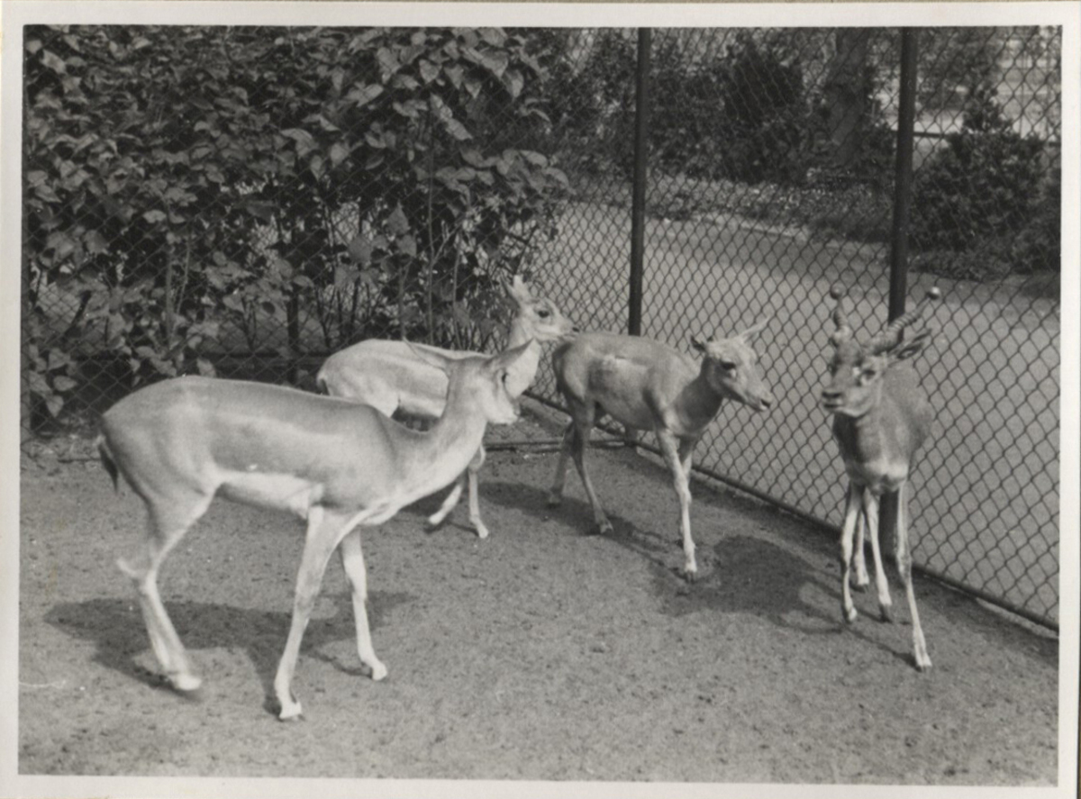 Fotograf: Hickstein, Carmen, Copyright: 1