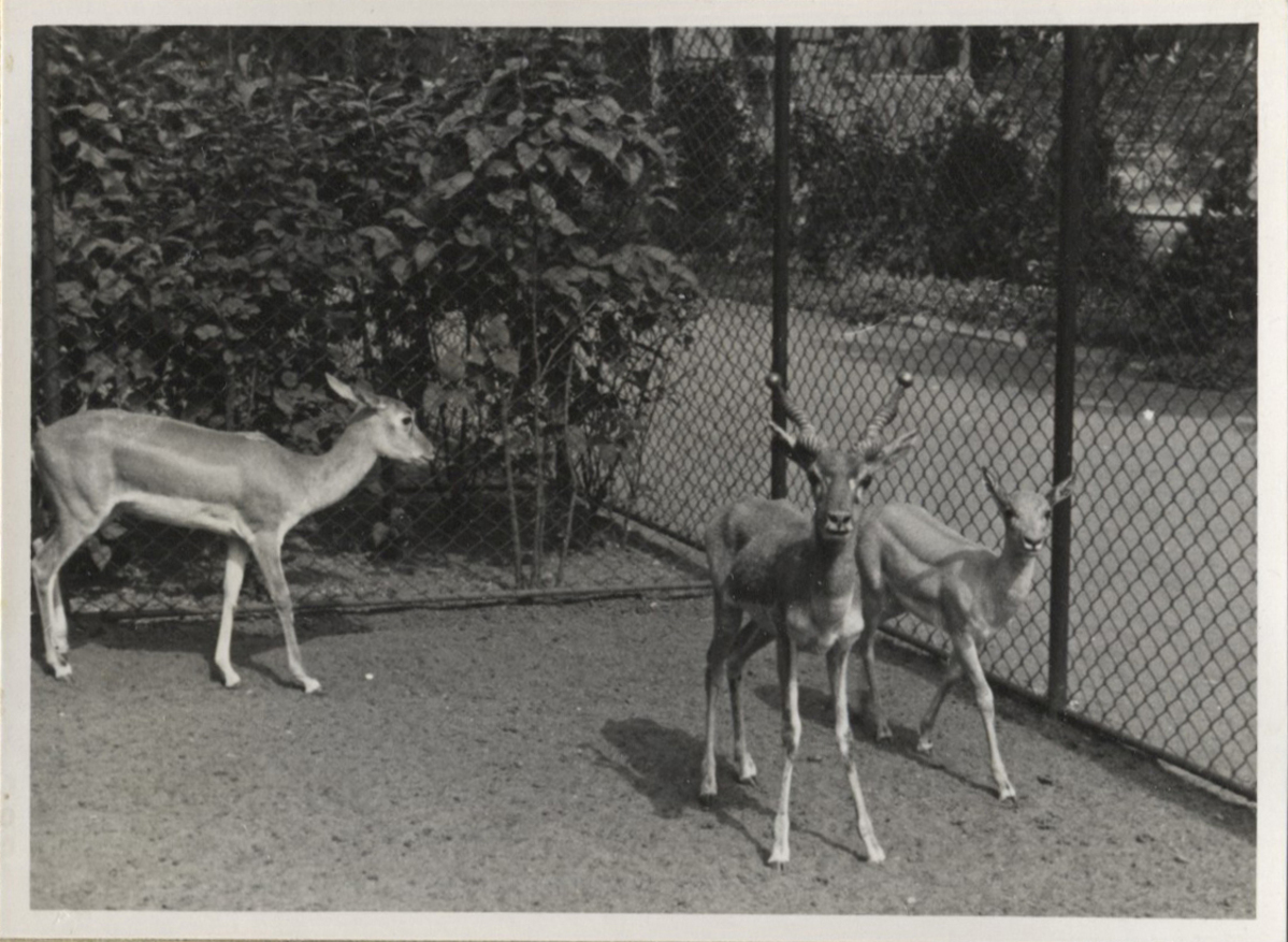 Fotograf: Hickstein, Carmen, Copyright: 1