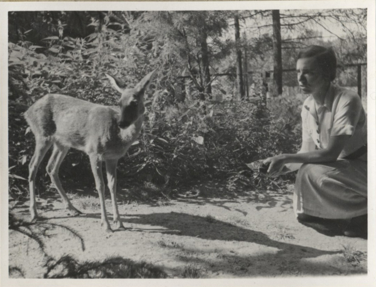 Fotograf: Hickstein, Carmen, Copyright: 1