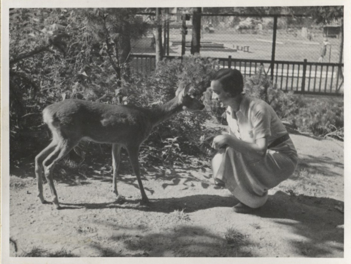 Fotograf: Hickstein, Carmen, Copyright: 1