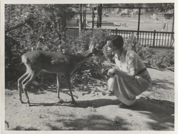 Fotograf: Hickstein, Carmen, Copyright: 1