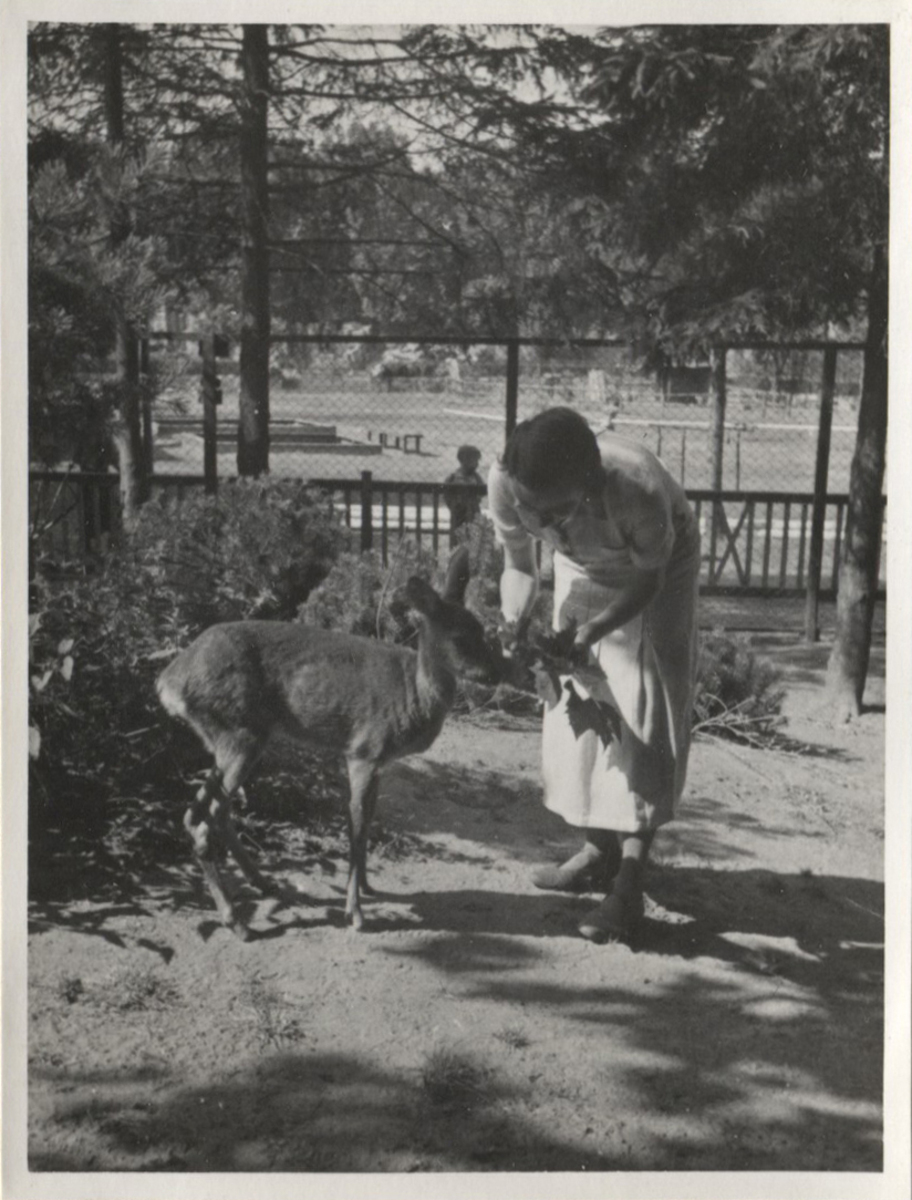 Fotograf: Hickstein, Carmen, Copyright: 1