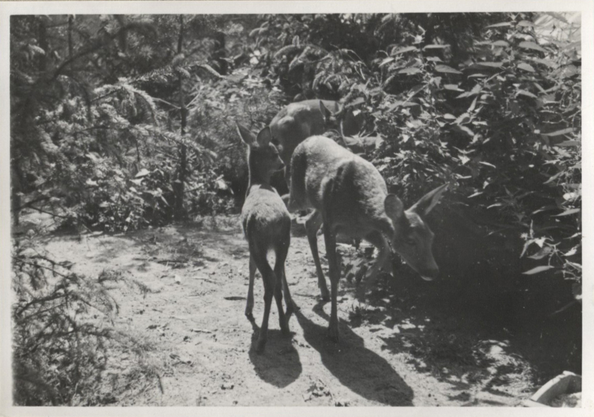 Fotograf: Hickstein, Carmen, Copyright: 1