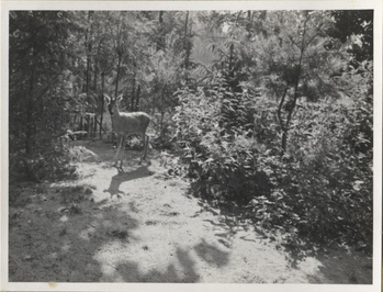 Fotograf: Hickstein, Carmen, Copyright: 1