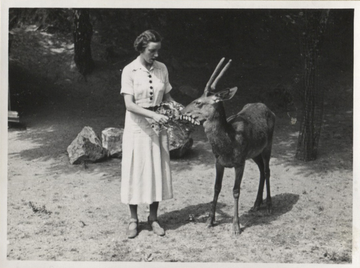 Fotograf: Hickstein, Carmen, Copyright: 1