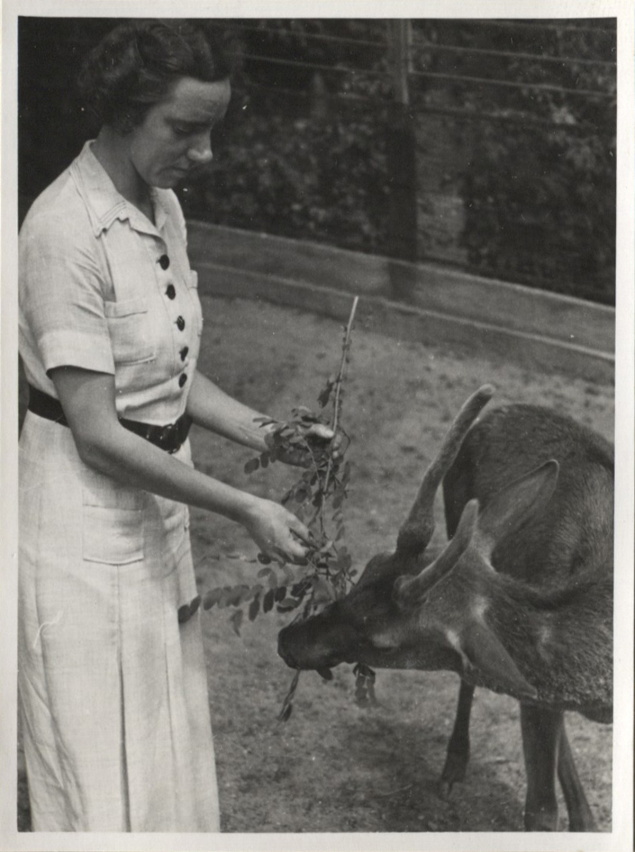 Fotograf: Hickstein, Carmen, Copyright: 1