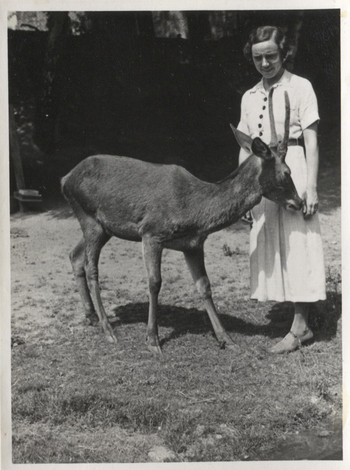 Fotograf: Hickstein, Carmen, Copyright: 1