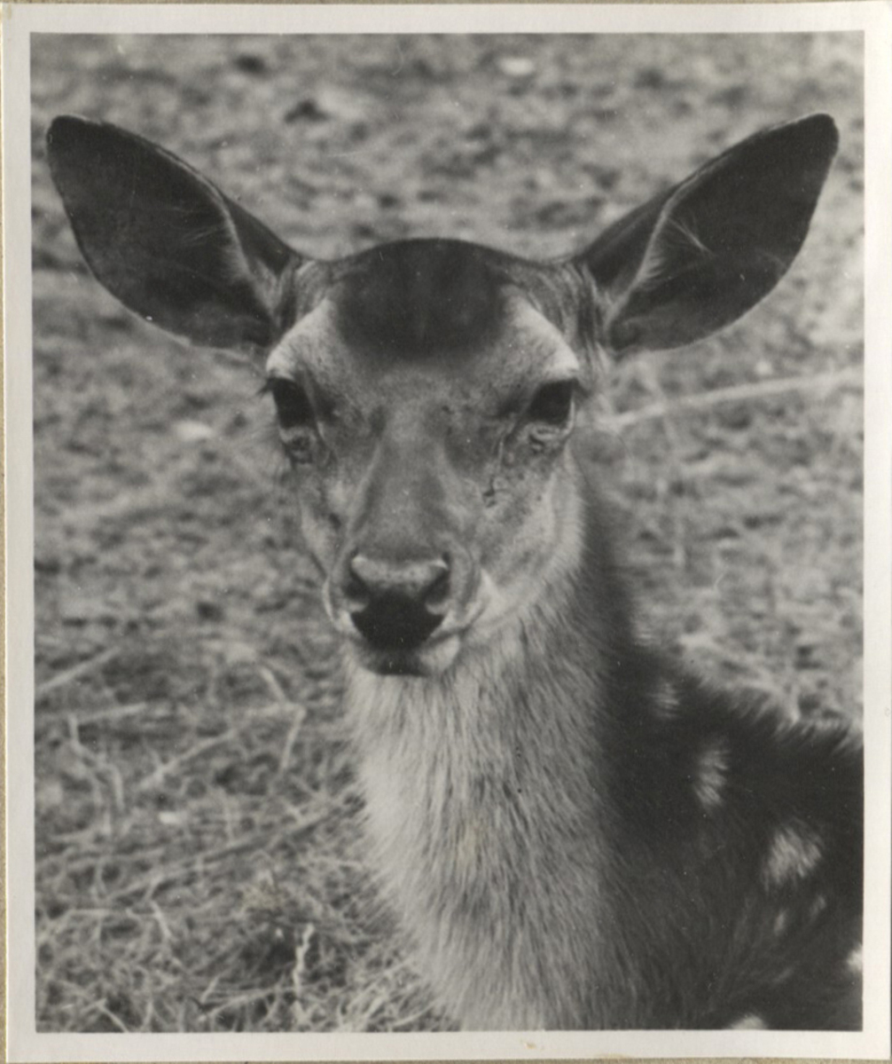 Fotograf: Hickstein, Carmen, Copyright: 1