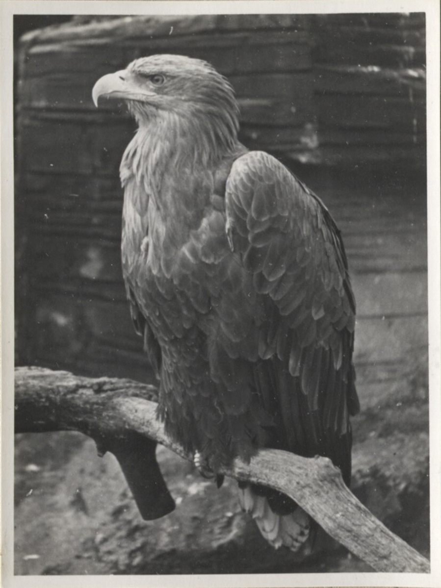 Fotograf: Hickstein, Carmen, Copyright: 1