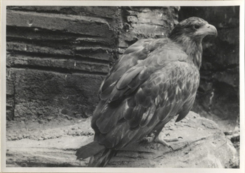 Fotograf: Hickstein, Carmen, Copyright: 1