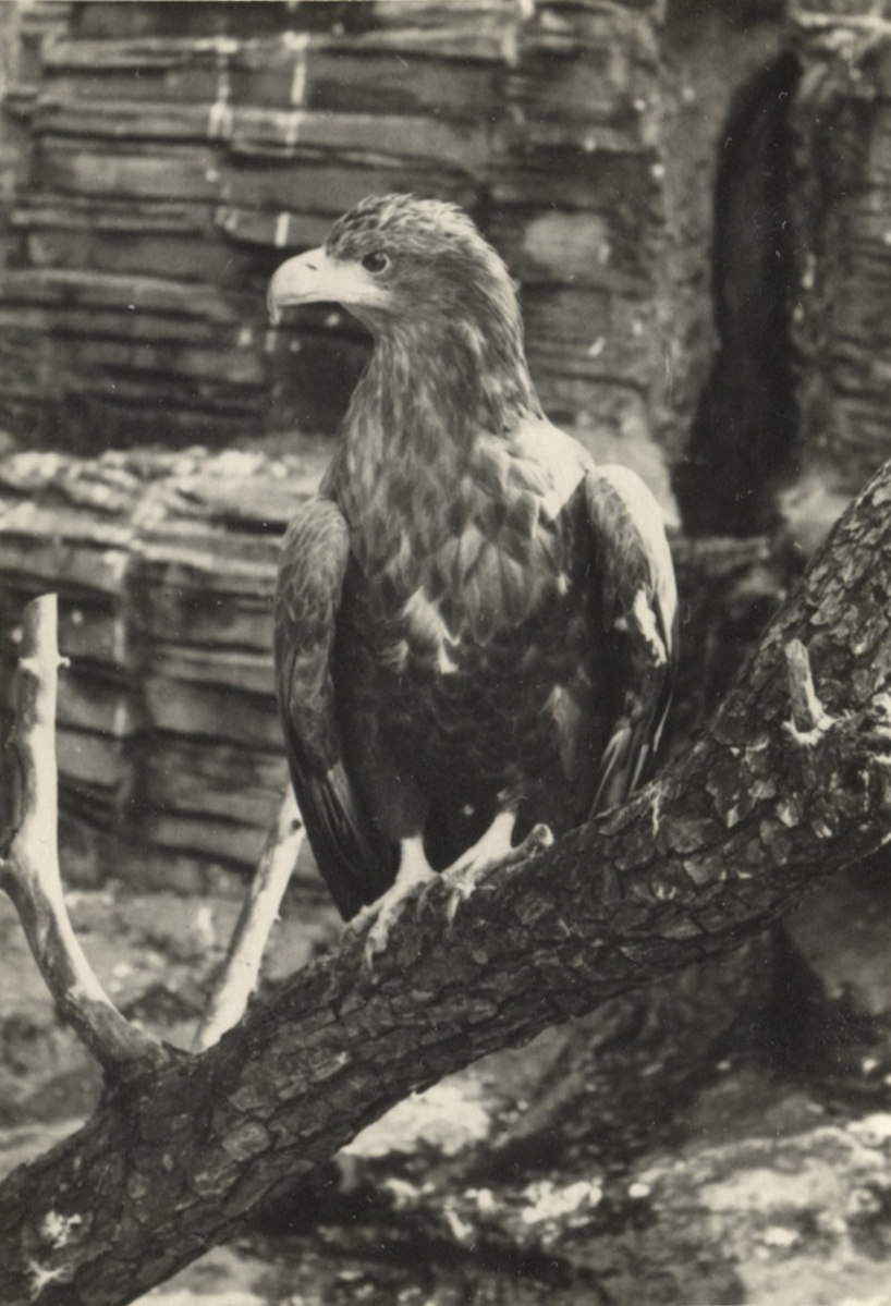 Fotograf: Hickstein, Carmen, Copyright: 1