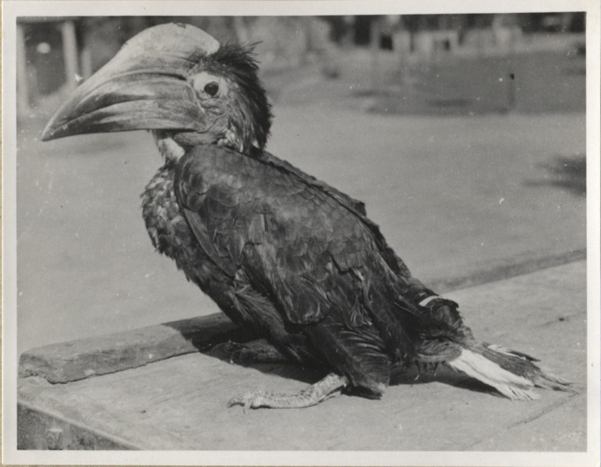 Fotograf: Hickstein, Carmen, Copyright: 1