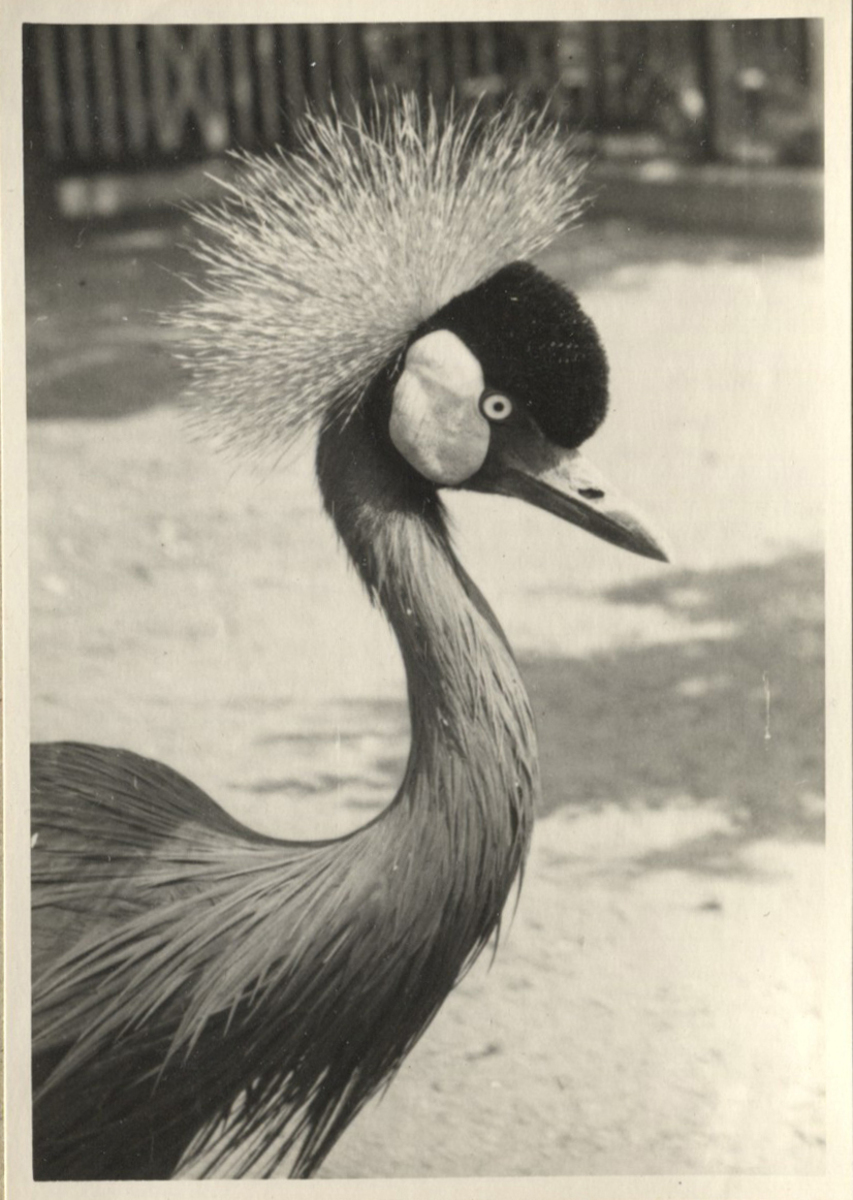 Fotograf: Hickstein, Carmen, Copyright: 1